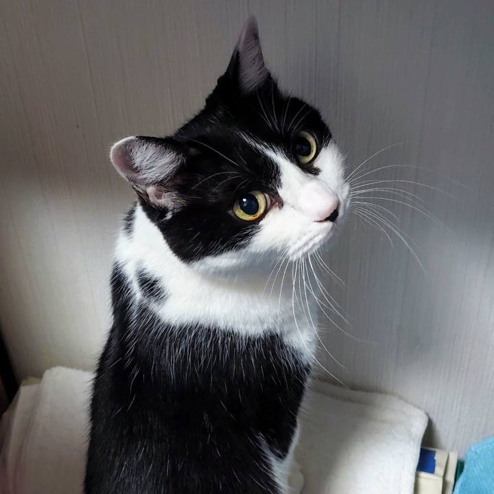 5d1f1f81 a4ab 4a6c 9fb1 702af39a060a 1761740898400