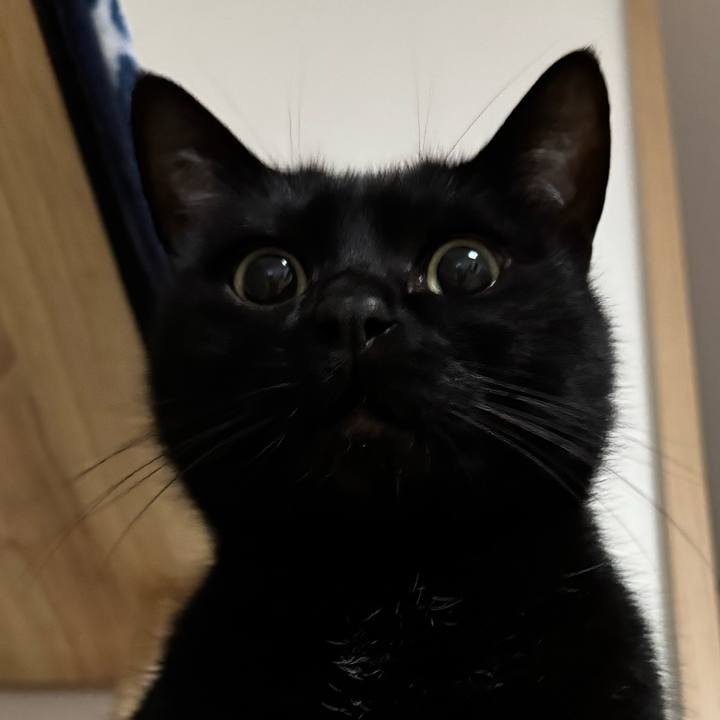 5d1f3e2f 44ac 432f b666 41c253220fe0 1775823462368