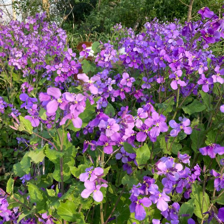 5d1f5994 a4ca 412b 8c89 113a449a6467 1744074761017