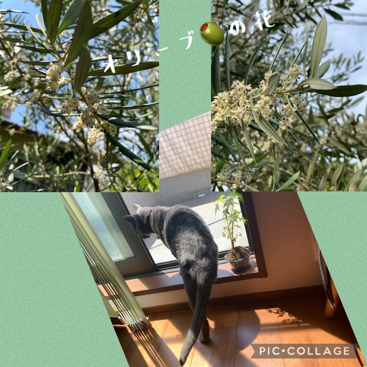 5d1f5ca8 2e38 4360 a822 065fa4c452a0 1653445699252