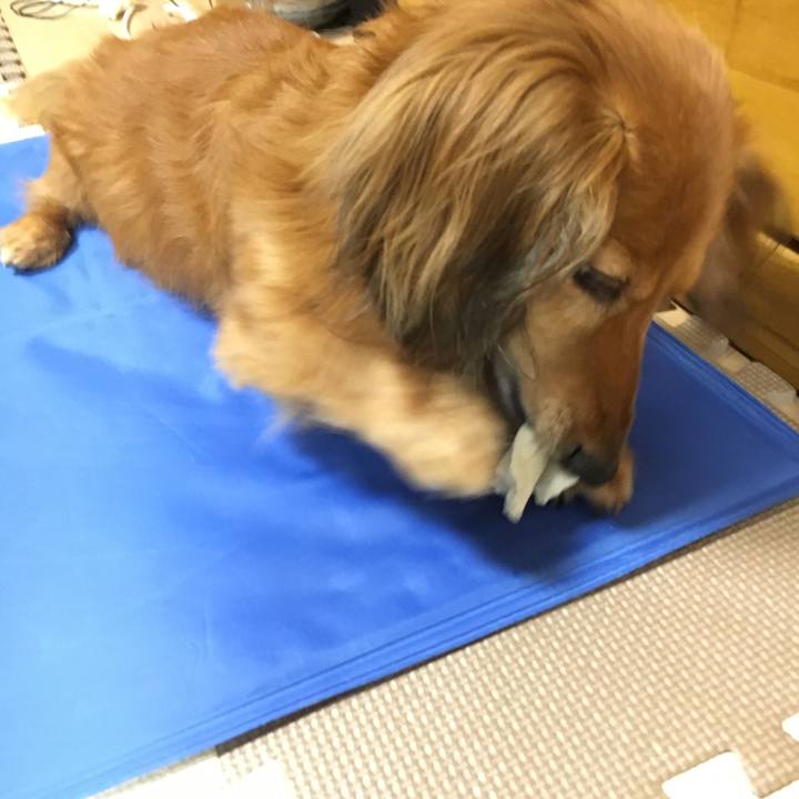 5d1f61c1 dce0 43f3 a55c 995d6b6ba2b5 1564323234384