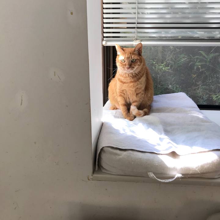 5d1f7786 ca21 4c93 bfe0 7cf564f558c7 1601289199272