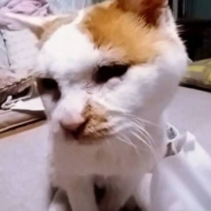 5d1f9947 c0cf 4879 a859 0fe6760c6a6a 1617446573709