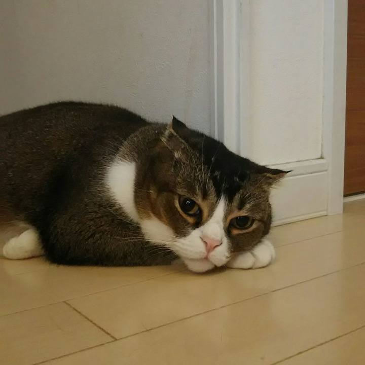 5d1f9f4a ee02 4bb9 aa4d 7acebb17ab60 1544225005522