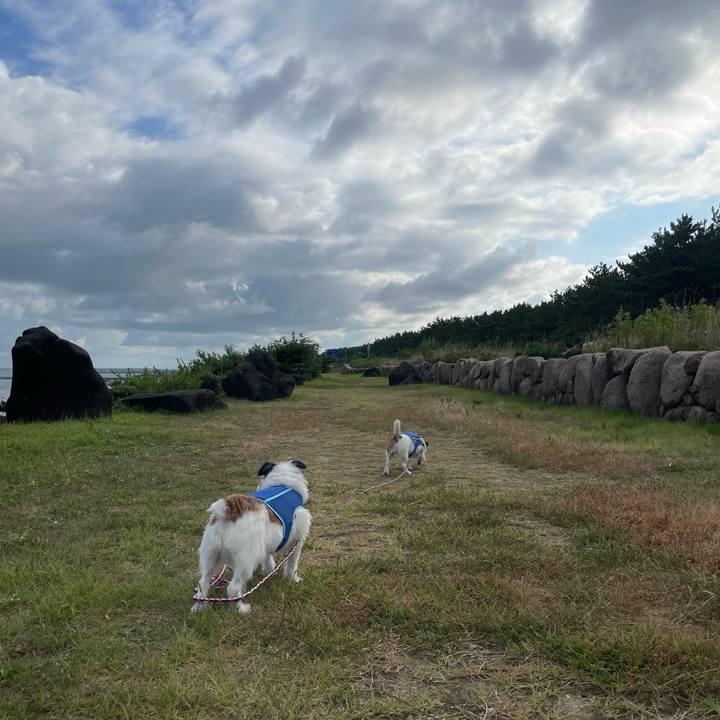 5d1fb6b1 1a2a 475a b279 98be658898e1 1723936945646