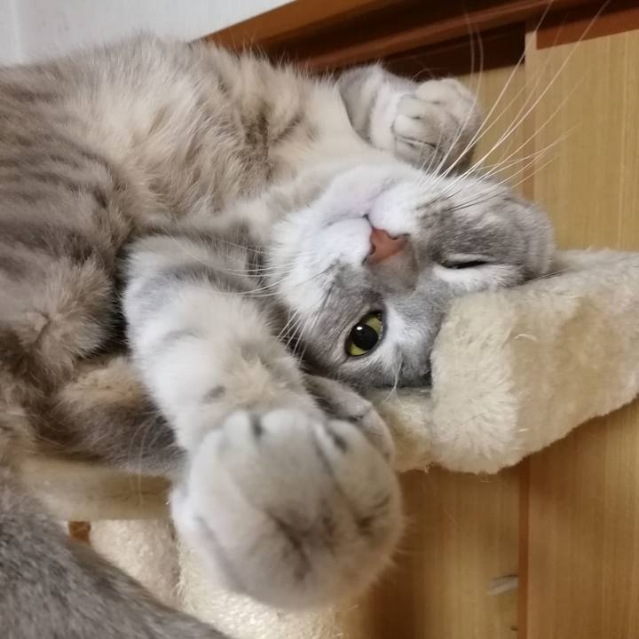 5d203cb5 30a7 42a0 820d 5a06f170d6be 1518824385479