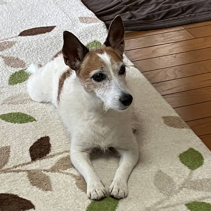 5d2051be 6e16 4191 a06e c6bed396552f 1722900501120