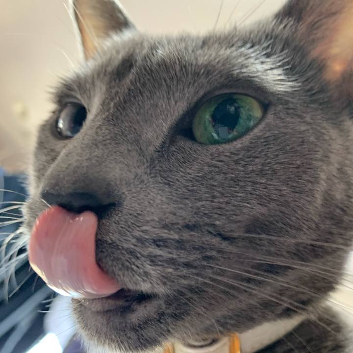 5d2095ca f0d4 4a96 860c e8c4488183ab 1678514884457