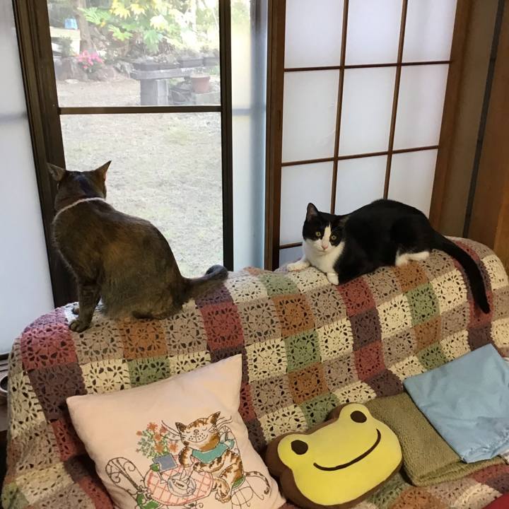 5d209df7 0fe7 4892 bde8 fbe3bcd59c32 1654158676112