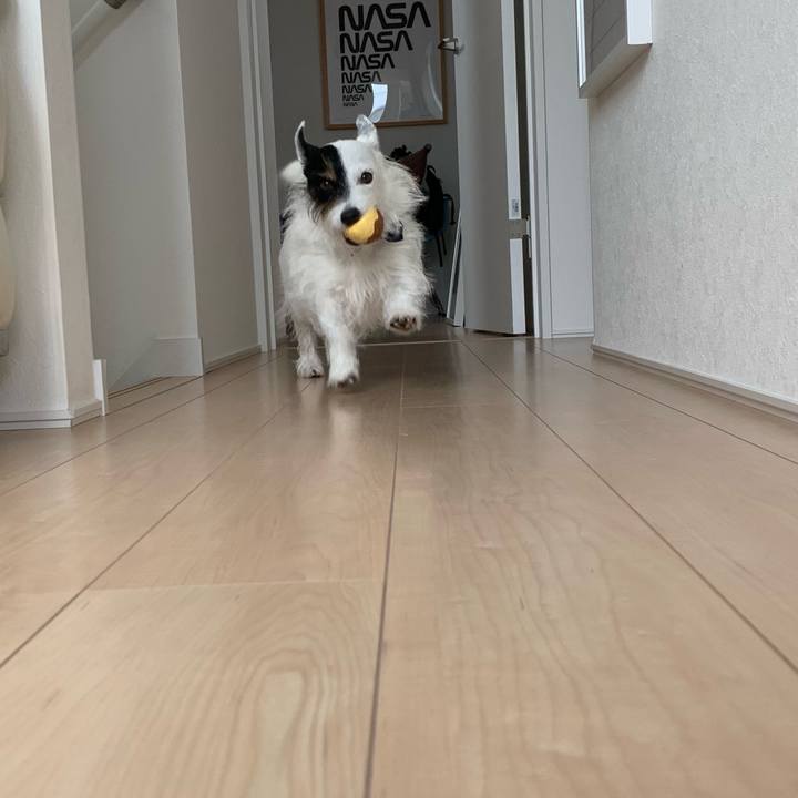 5d20c68c c264 4b66 b244 7be122ba8e6e 1663633642277