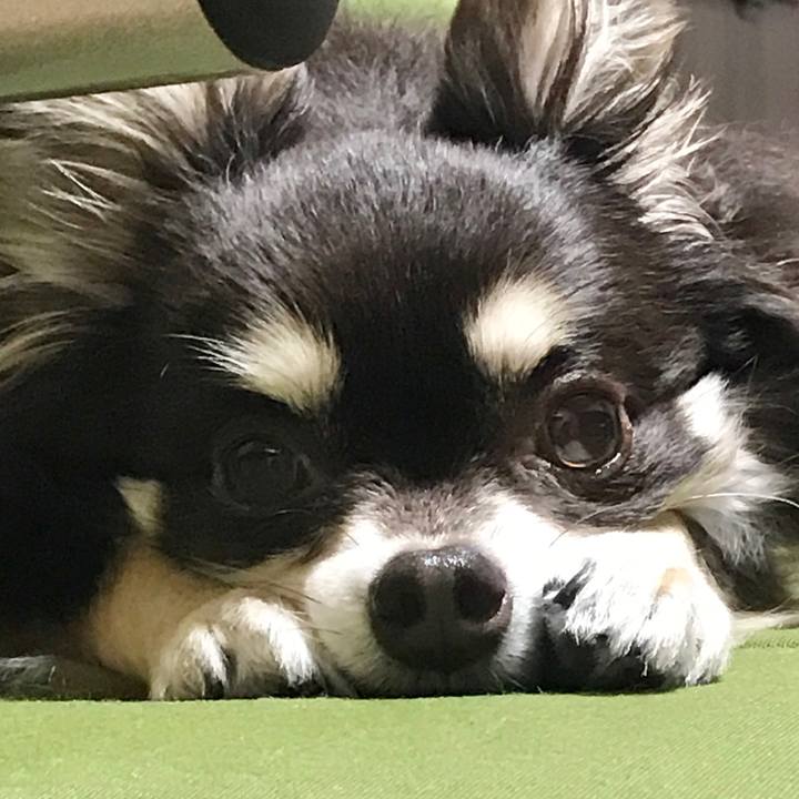 5d20e208 8f27 48ea 9b9b 195f413a7c7d 1591157025902