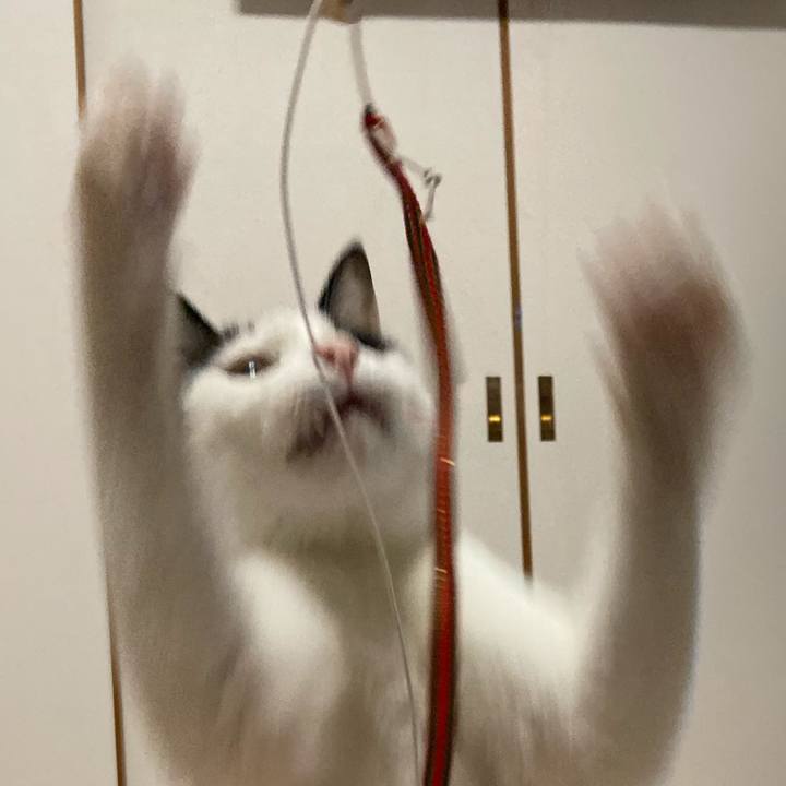 5d210854 ef0f 491c 8299 901d93b356b5 1576071313393