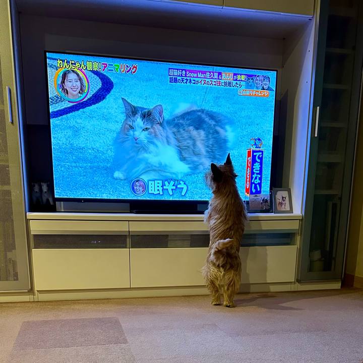 5d211120 73ad 4722 90f6 604e0c9b5788 1743165460794