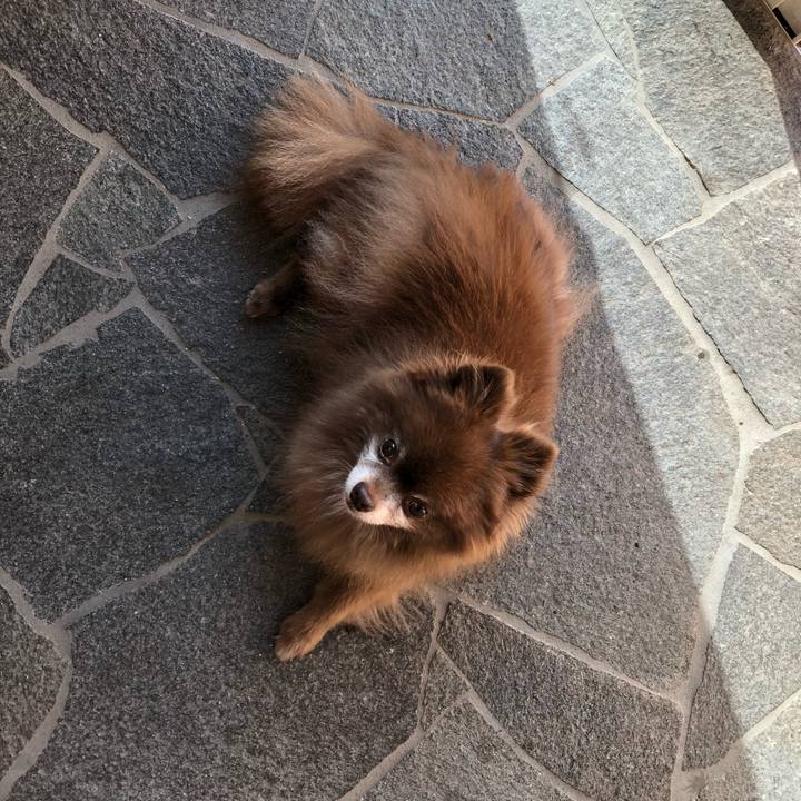 5d21164f 4c31 4342 849e 14bbaf4e25be 1596006033290