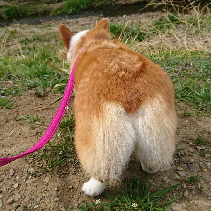 5d211a2f 01fd 4035 a35f a7a0bdfe7a10 1521086913997