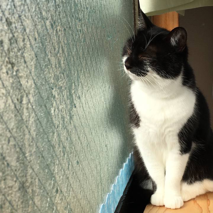 5d2156f6 775c 47bb 9c76 3a8cde610ccc 1517192582187