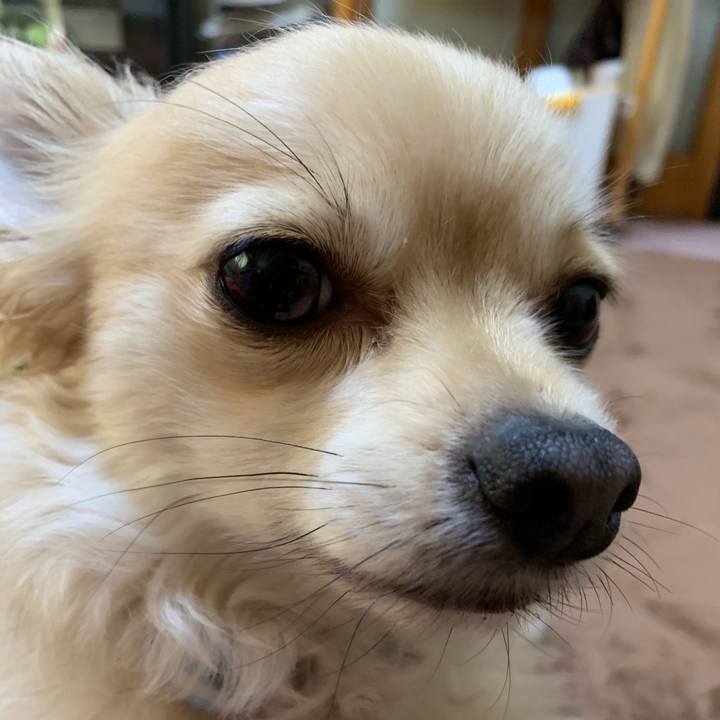 5d2160fa 3240 46c4 9c26 5696582b2c99 1558648539589