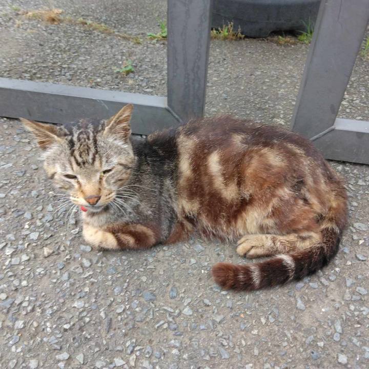 5d218a14 f73f 40ca 8947 e0757eb49f30 1689379552553