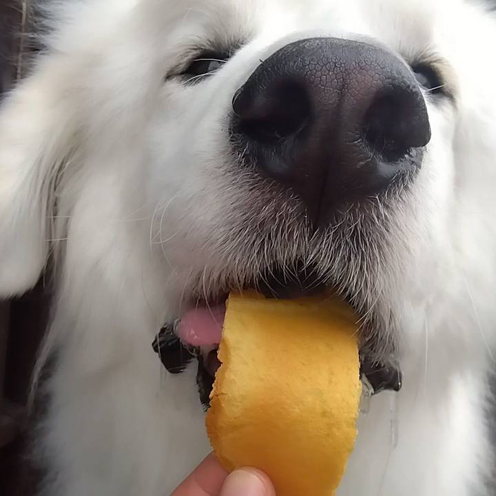 5d219df9 5284 4d45 8899 09775f33b73d 1675901725807