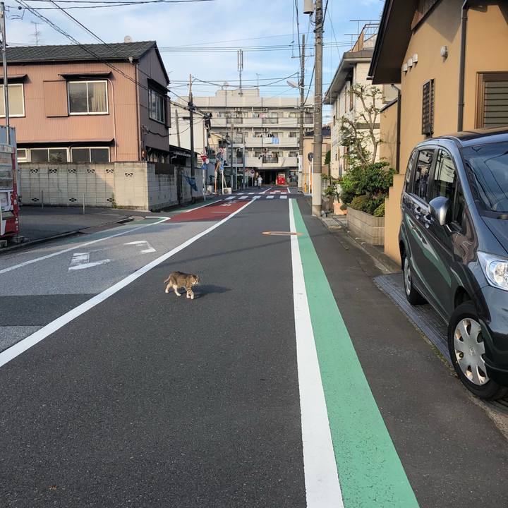 5d21c58a 9423 4846 bb5c 9fdc5690be99 1533928352141