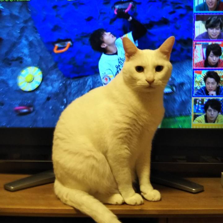 5d21fdcb dd88 4c6f b82c 69bb78d7f2aa 1577721282227