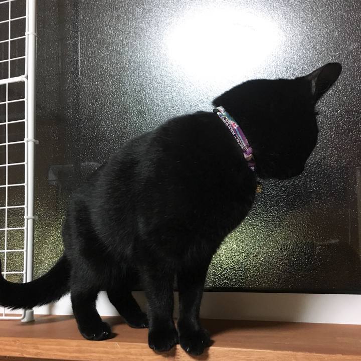 5d226423 c866 4c13 97eb 4af173121fe0 1514726103067