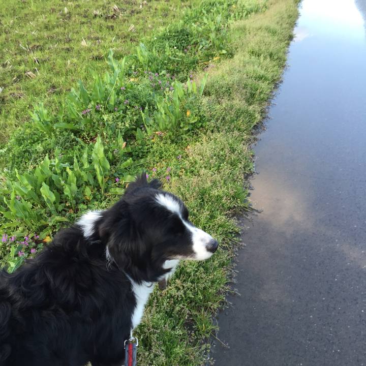 5d22861e 6b31 485f b417 3b74055cbb6a 1552429718682