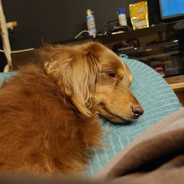 5d22a4c7 b9cd 4fd5 9c57 f5cbe8b299b0 1698404886481