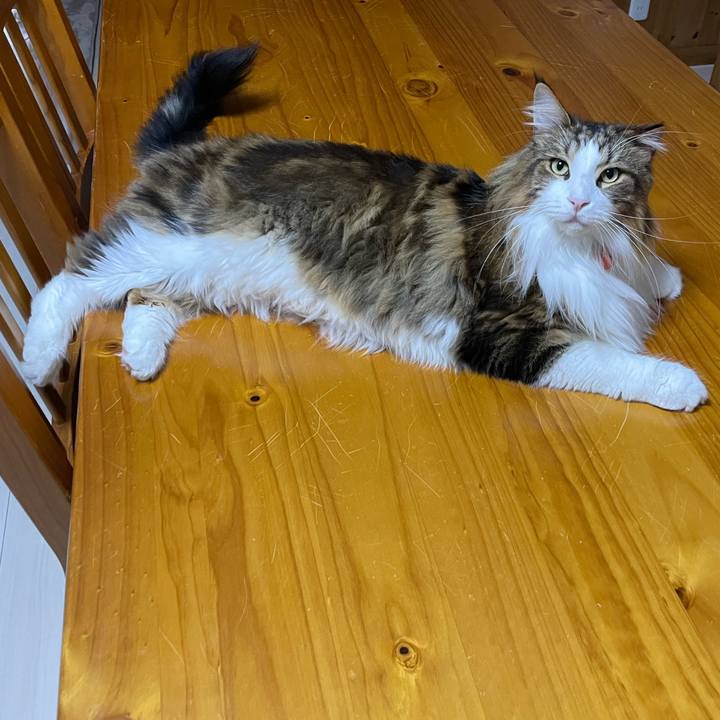 5d22da6d 0f3e 4820 a92f a7f08acadad6 1698347796701