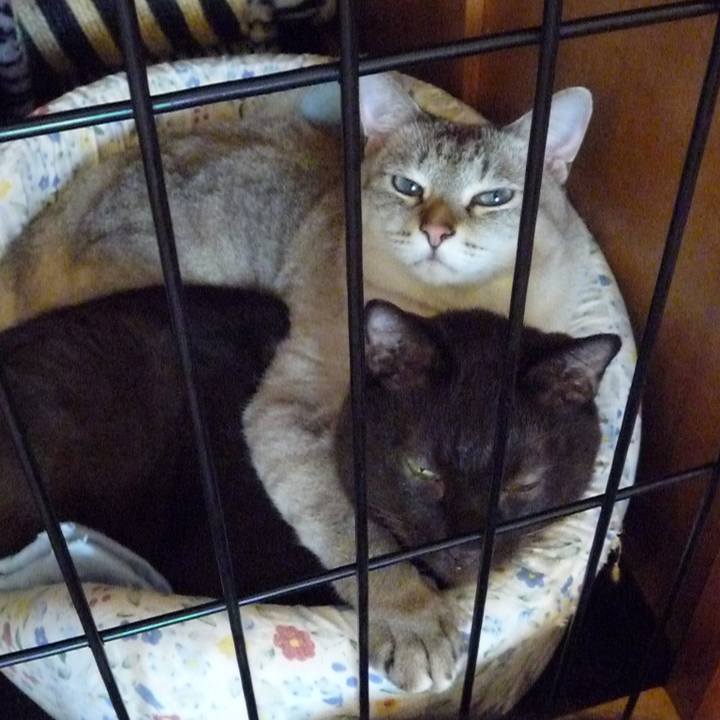 5d22dab2 4eb2 4fb2 9015 fb409655d02c 1616330460611