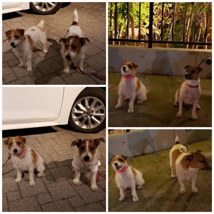 5d22dd06 65d8 4a2c 8088 dfd7e1c77cec 1635939529471