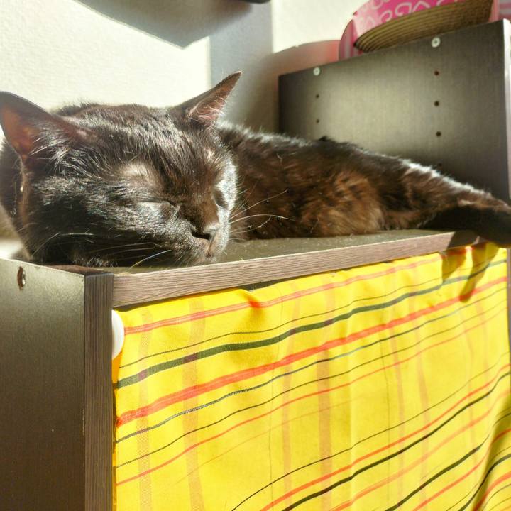 5d22e740 06d7 425a ae1a b4354dbf5f97 1670637145192