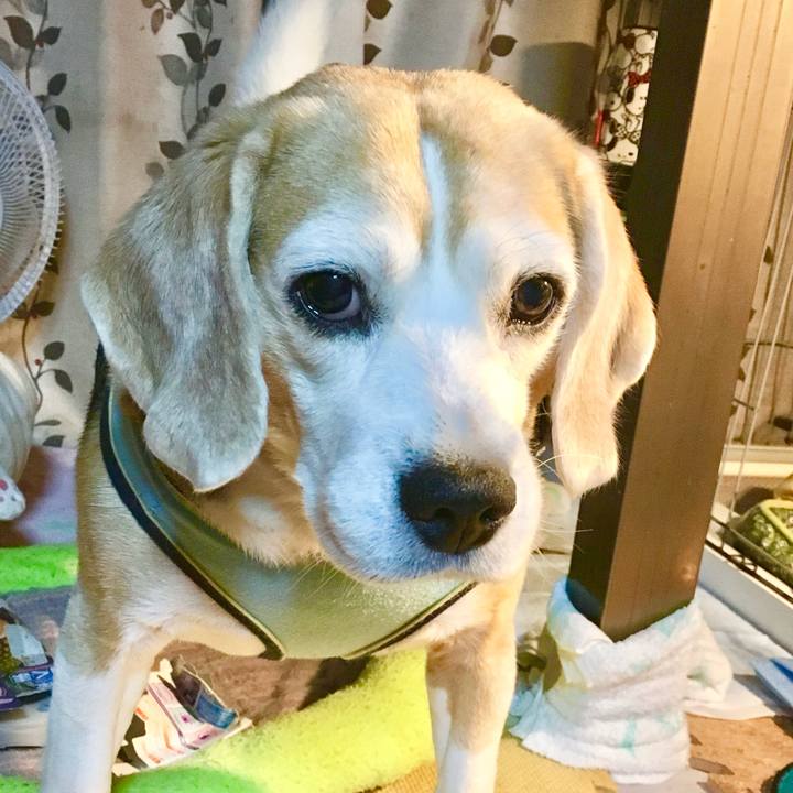 5d2357cd c707 4a40 aac2 d2adc43a94a8 1760496406049