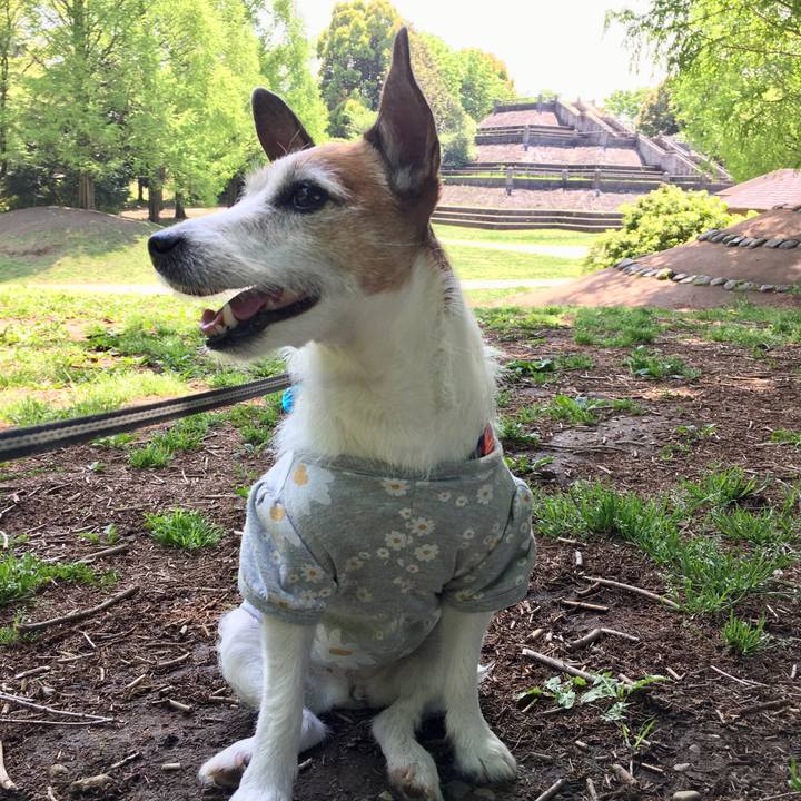 5d236323 a27a 4a13 885c f196c522a265 1651360733613