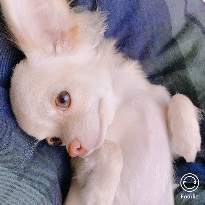 5d236491 3543 4f36 8e1a f07d9d011140 1599534831058