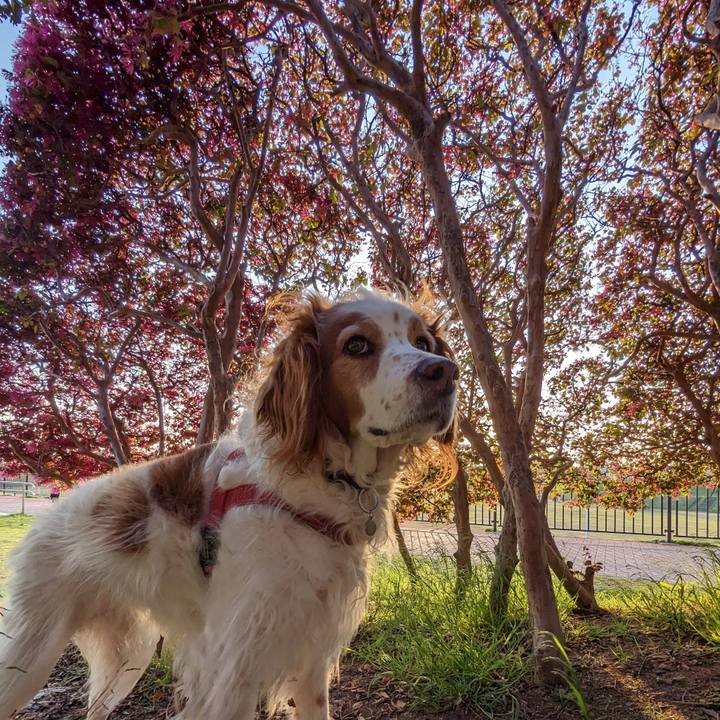 5d23f218 e286 4e53 b4d1 0758417bee07 1680515369808