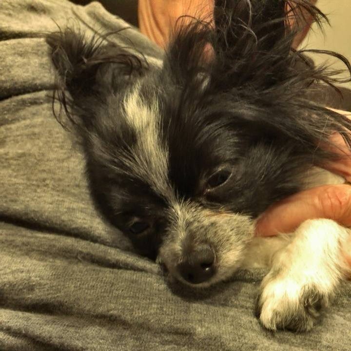 5d244035 16f7 42e4 b6f4 cb273646f15e 1509628659319