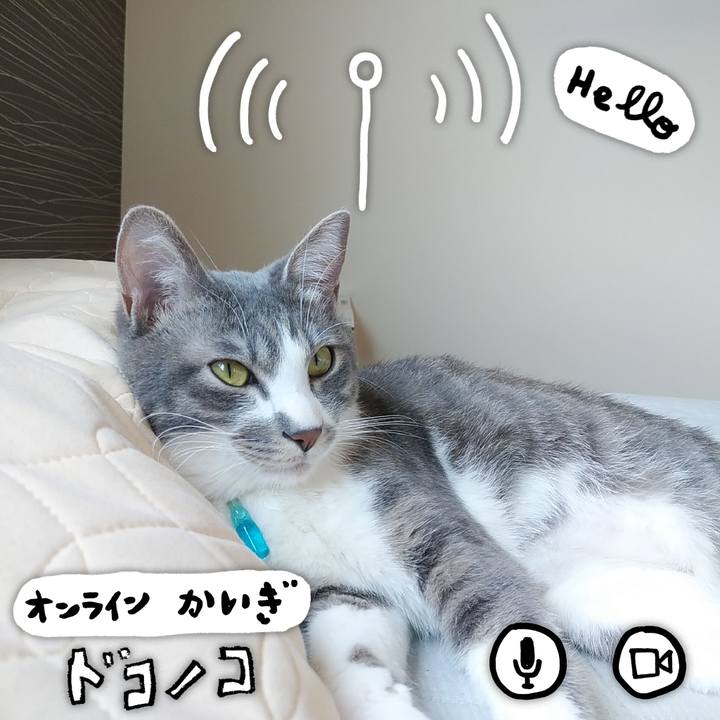 5d245a5c 0383 4503 8049 ee96ab341250 1590722043050