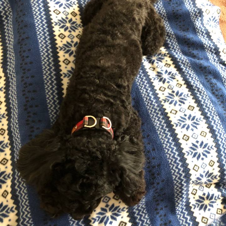 5d246482 a4a7 46b2 b06f 28b53c8e8e20 1553568076353