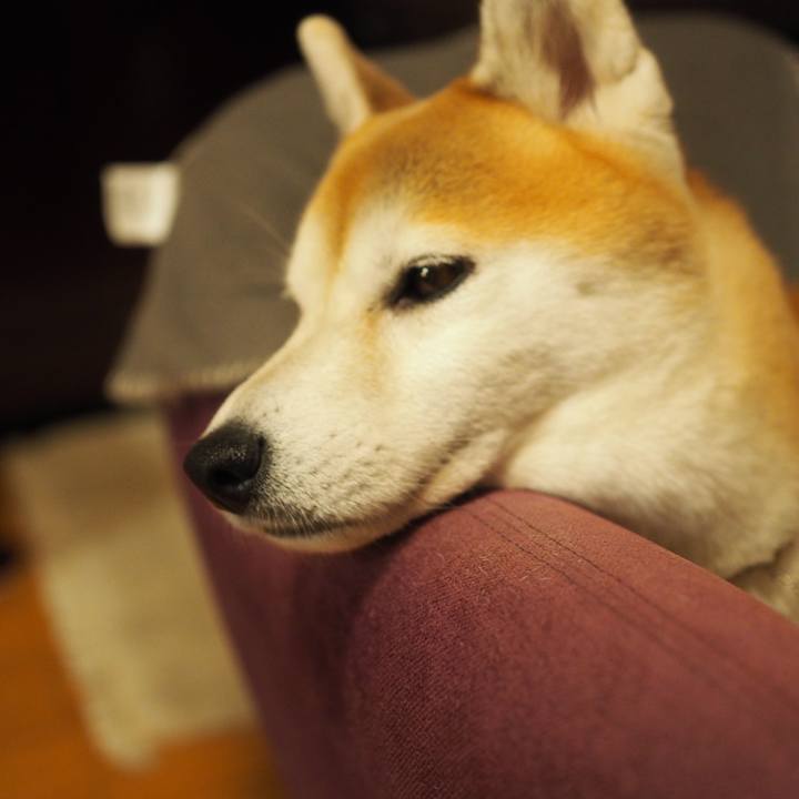 5d248e05 1db7 454c 9825 d72884335b62 1606561370742