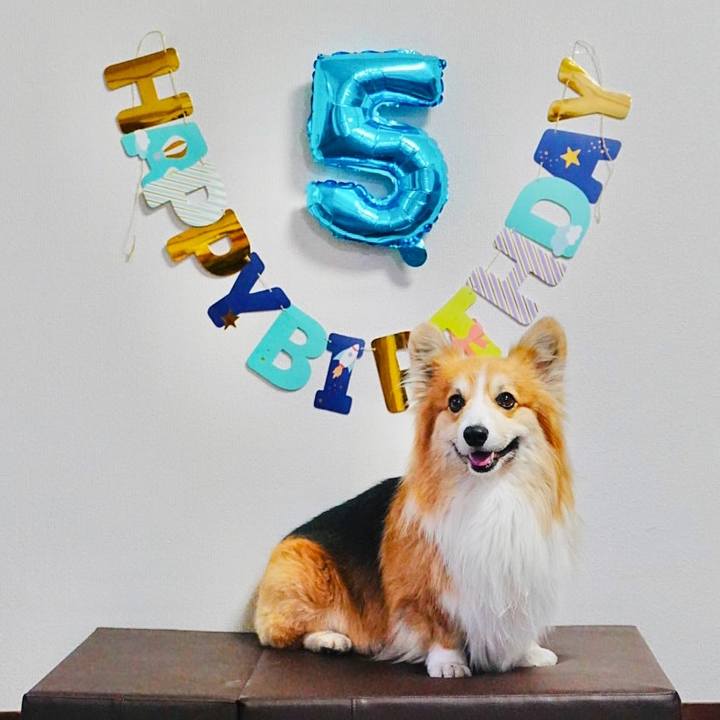 5d24b579 d05b 46aa adc8 2a65062f5b48 1770207574813