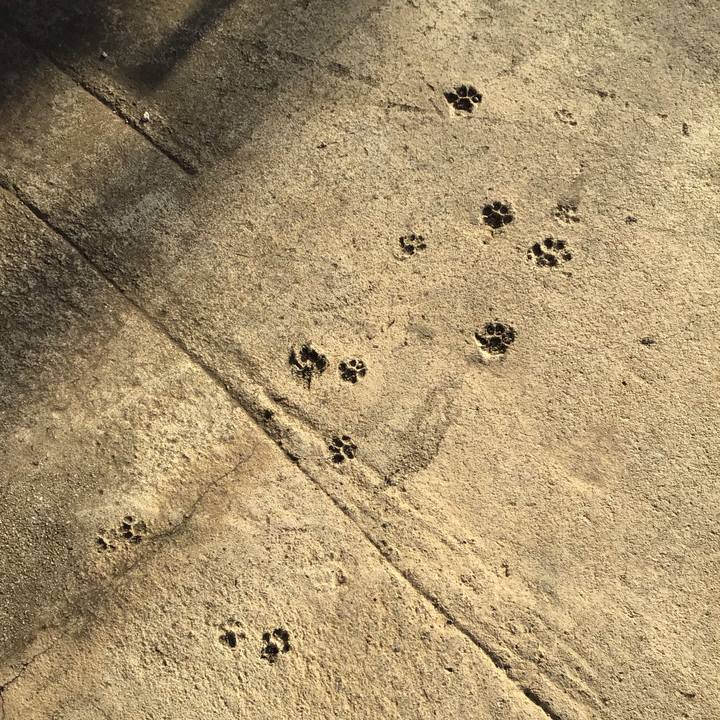 5d24d2b8 4fe6 40ec 9b1d 40721290ba22 1584002670498