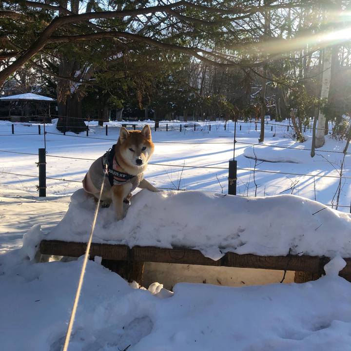 5d24e4ea d4fc 4842 a29e 2682d3f1183f 1548119494208