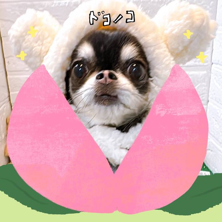 5d2502f3 04c0 4468 b907 b545e0952ece 1771923780215