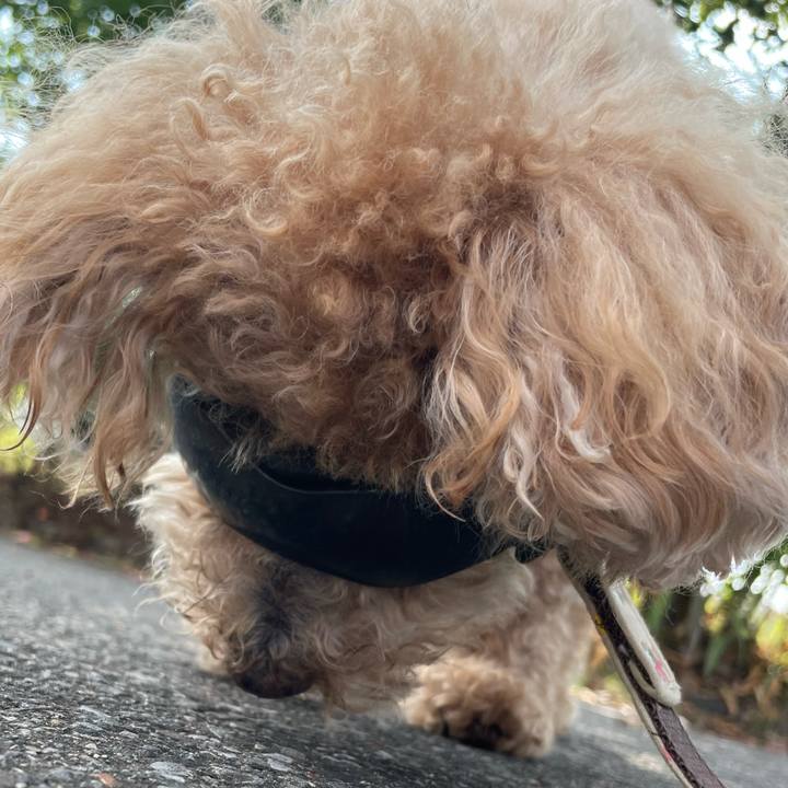 5d2506f5 7b40 4e57 af9b 40c6bad3b90b 1758144924147