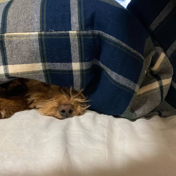 5d251674 8bc3 4474 a98c d4ed1077b17a 1677579297550