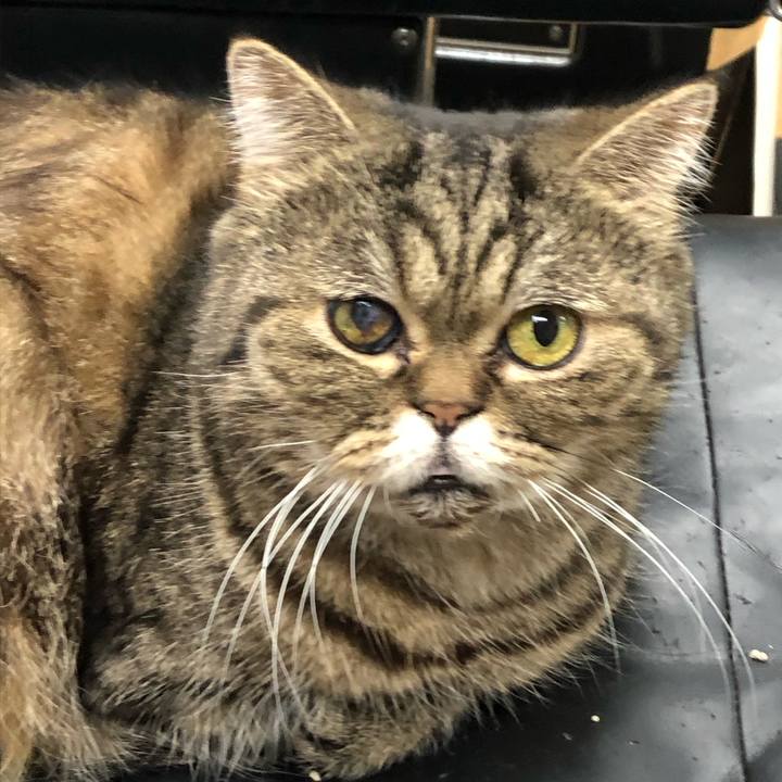 5d2536f0 a8e2 48da 9ddd 0f0a5b6642e5 1645489228961