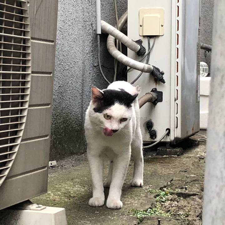 5d253cbd 4503 41d4 aa2d 131863e339da 1535774834167