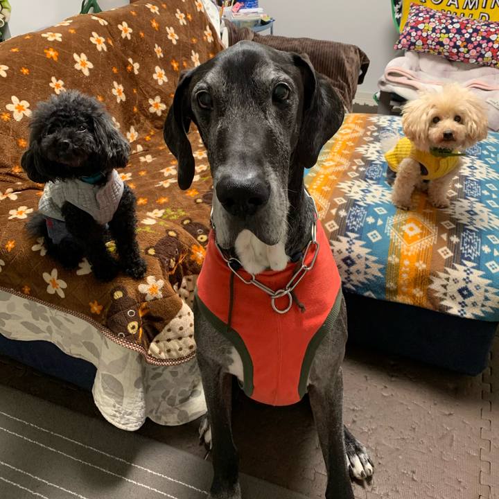 5d255f33 6af7 4d71 a3fd 5439805aa9a6 1607898438699