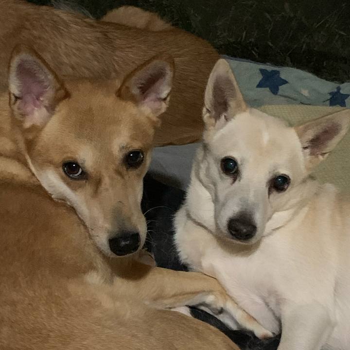 5d2569e4 2968 47da ac20 c501ee1204bb 1606013119378